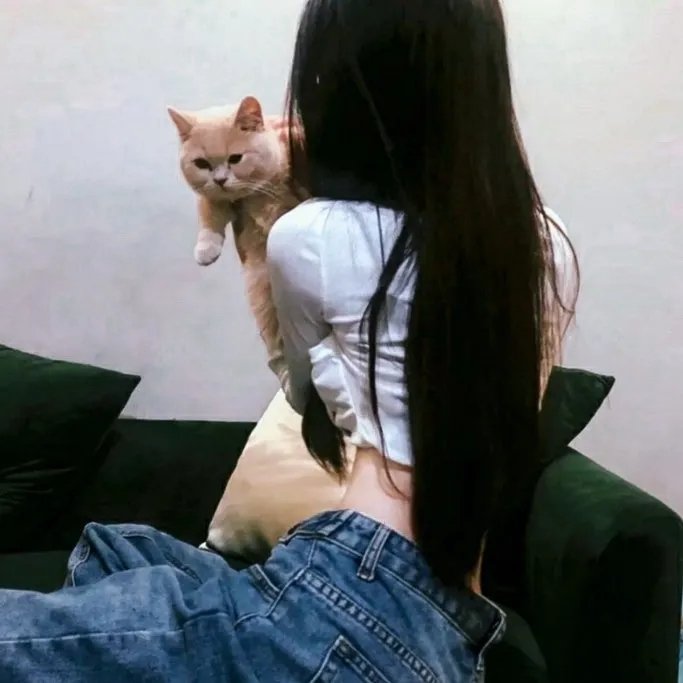 泡芙小姐第七季