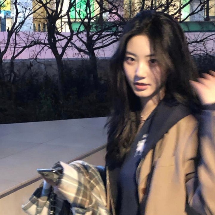 皮阿佐拉：鲨之岁月